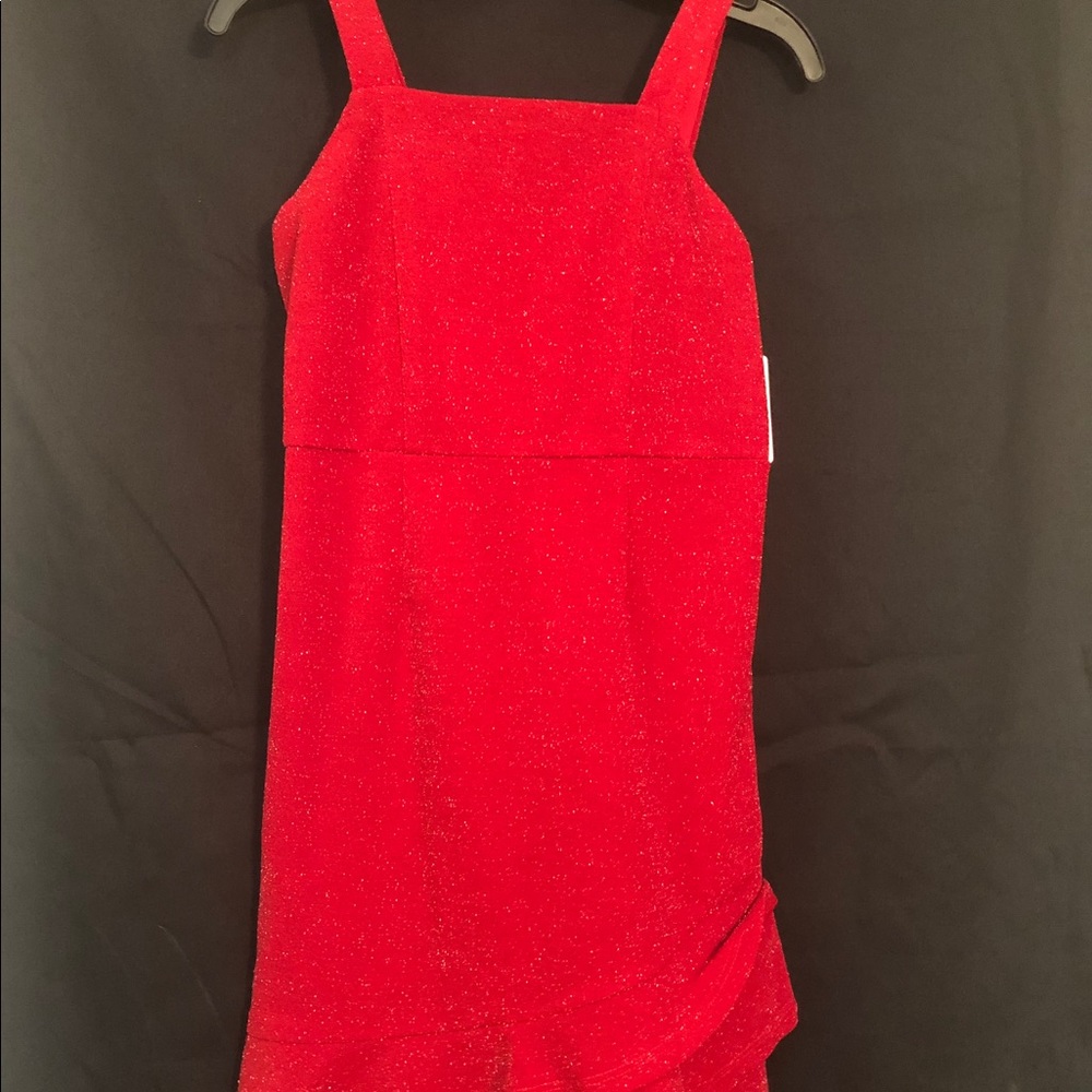 Poppies and Roses Glitter Dress